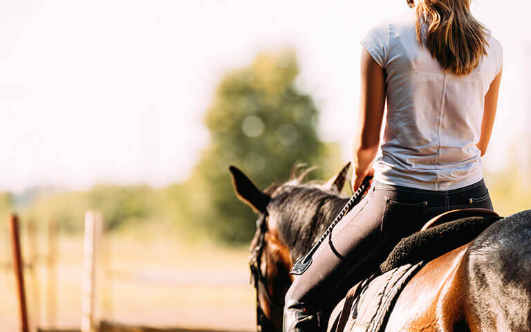 L'équitation est un métier représenté par agrifournitures.fr