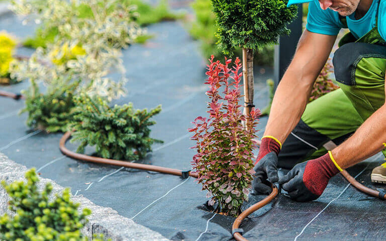 Les espaces verts, l'urbanisme est un métier représenté par Agrifournitures.fr